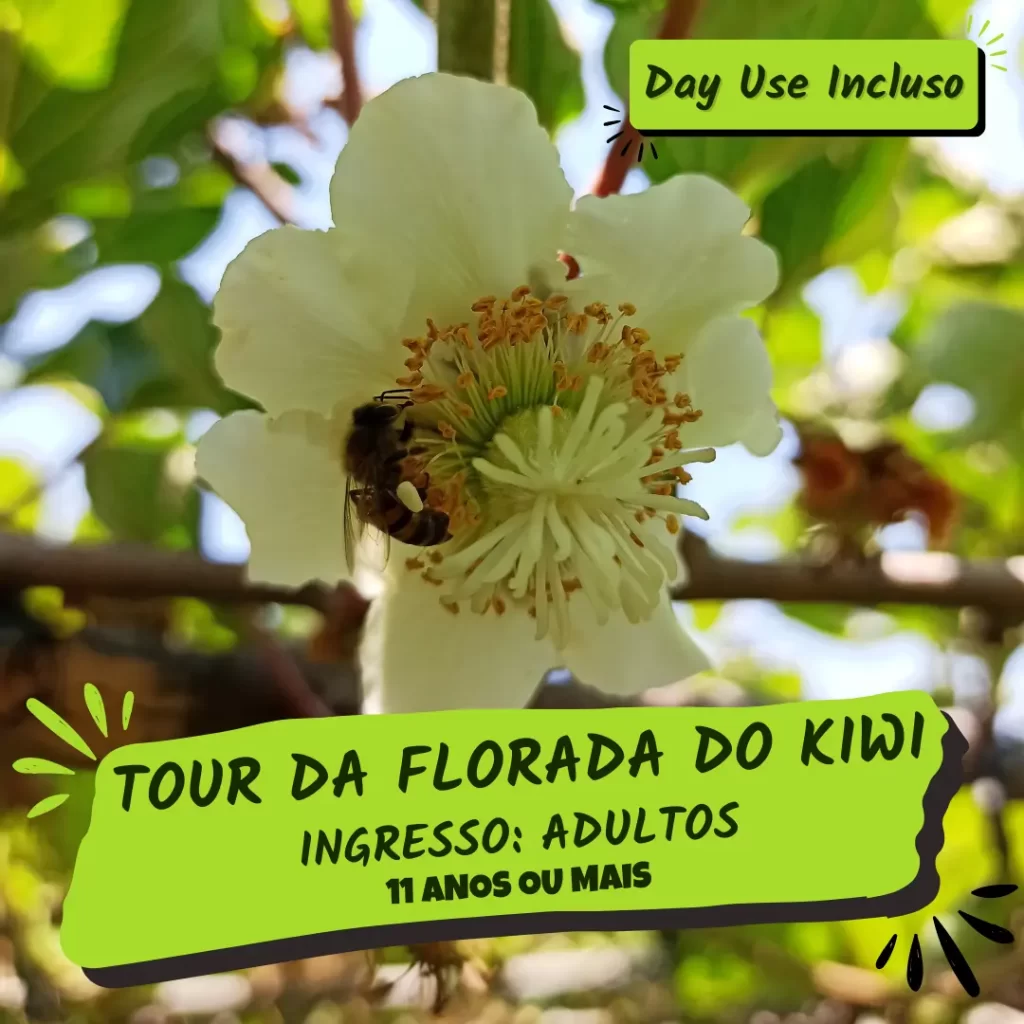 Ingressos tour florada do kiwi