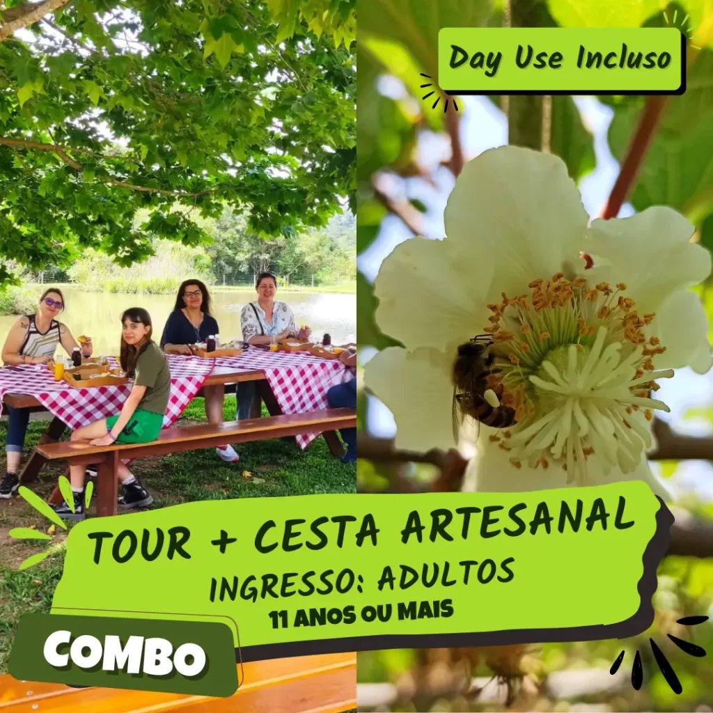 Ingressos tour florada do kiwi + cesta artesanal