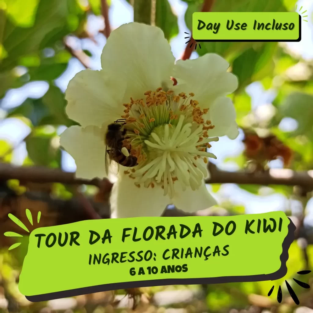 Ingressos tour florada do kiwi kids