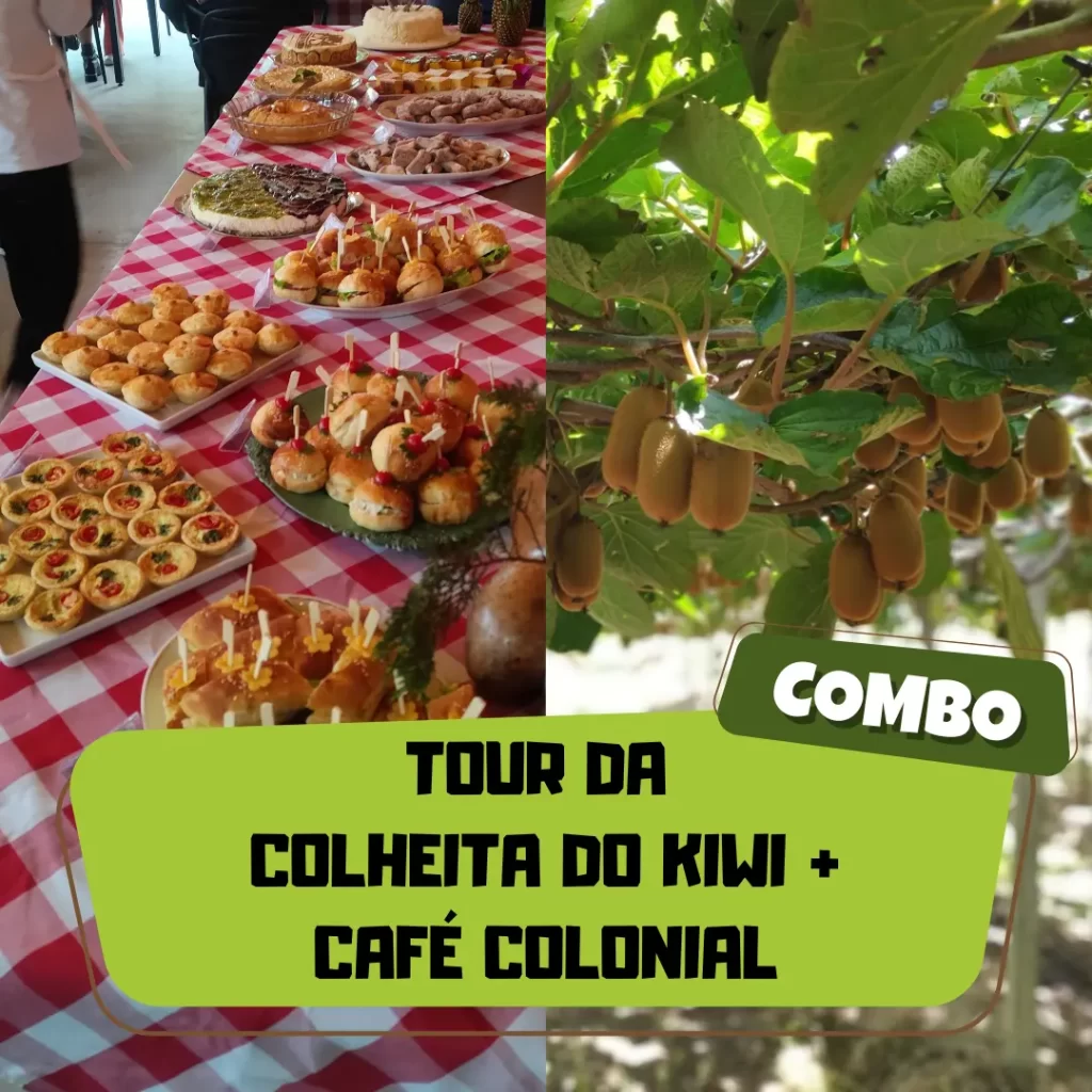 produto tour colheita do kiwi + cafe colonial