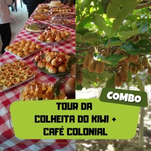 Combo – Tour da Colheita do Kiwi + Café Colonial