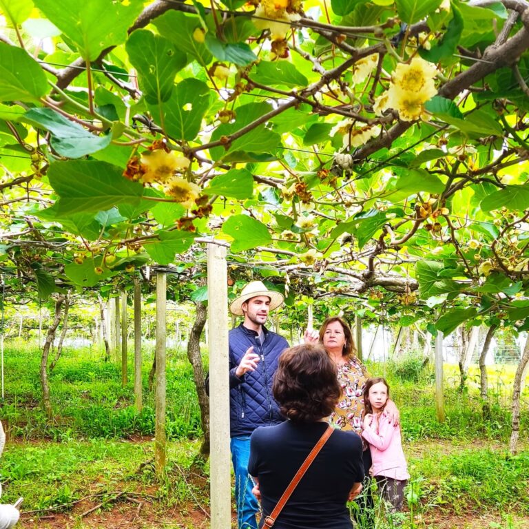 Apresentação Sobre Flor do Kiwi - Chácara Kiwi da Serra