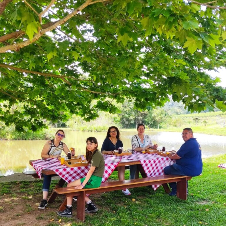 Chácara Day Use em São Luiz do Purunã - Chácara Kiwi da Serra