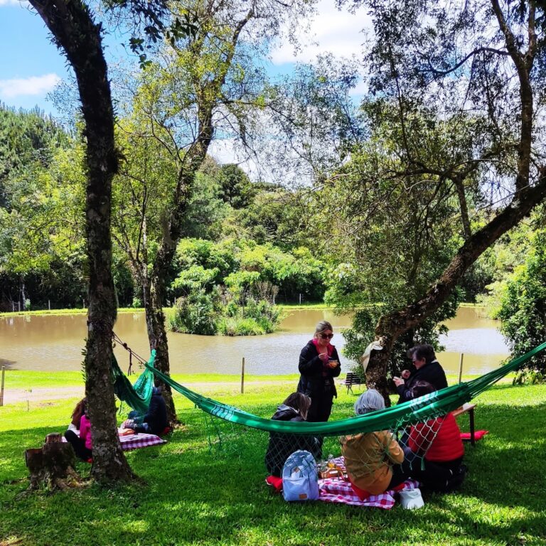 Chácara com Piquenique em São Luiz do Purunã - Chácara Kiwi da Serra