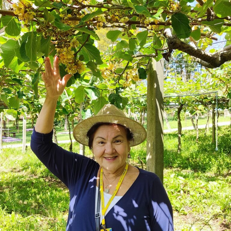 Imagem na Florada do Kiwi - Chácara Kiwi da Serra