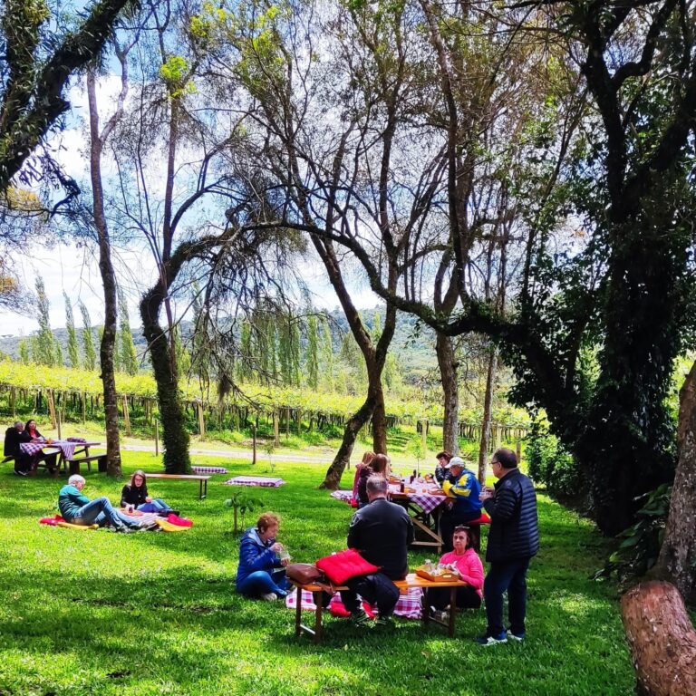 Piquenique em São Luiz do Purunã - Chácara Kiwi da Serra