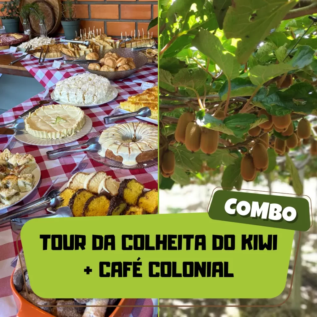 capa tour da colheita do kiwi e cafe colonial 2026 2