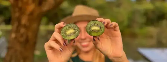 kiwi da chácara kiwi da serra