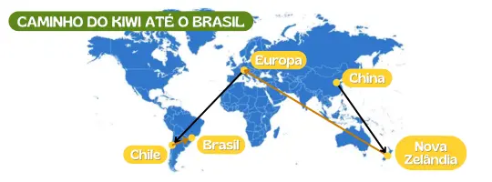 caminho do kiwi até chegar no brasil