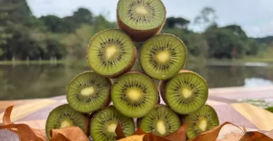 Leia mais sobre o artigo 10 curiosidades sobre o kiwi que quase ninguém conhece