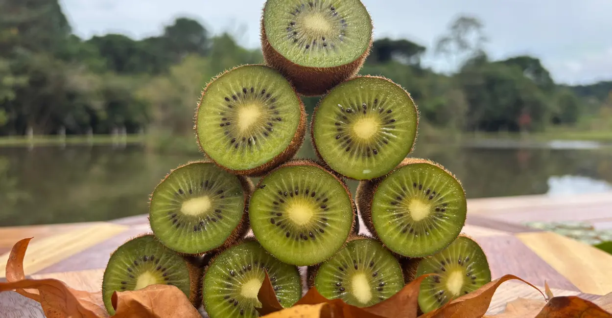 Leia mais sobre o artigo 10 curiosidades sobre o kiwi que quase ninguém conhece