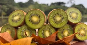 Leia mais sobre o artigo Kiwi ajuda no emagrecimento? Descubra se é mito ou verdade!