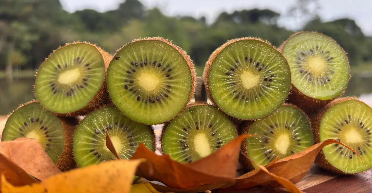 Leia mais sobre o artigo Kiwi ajuda no emagrecimento? Descubra se é mito ou verdade!