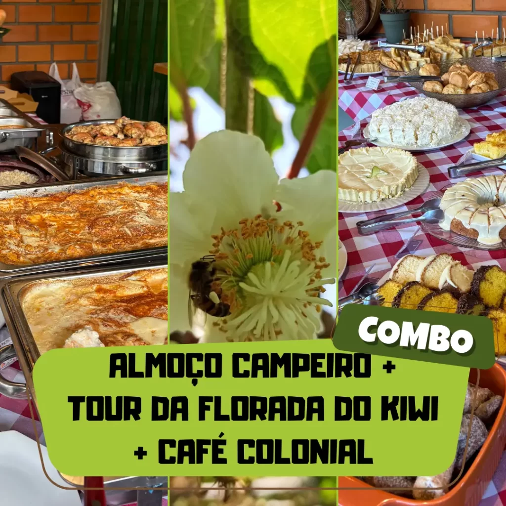 capa produto almoço + tour florada + café