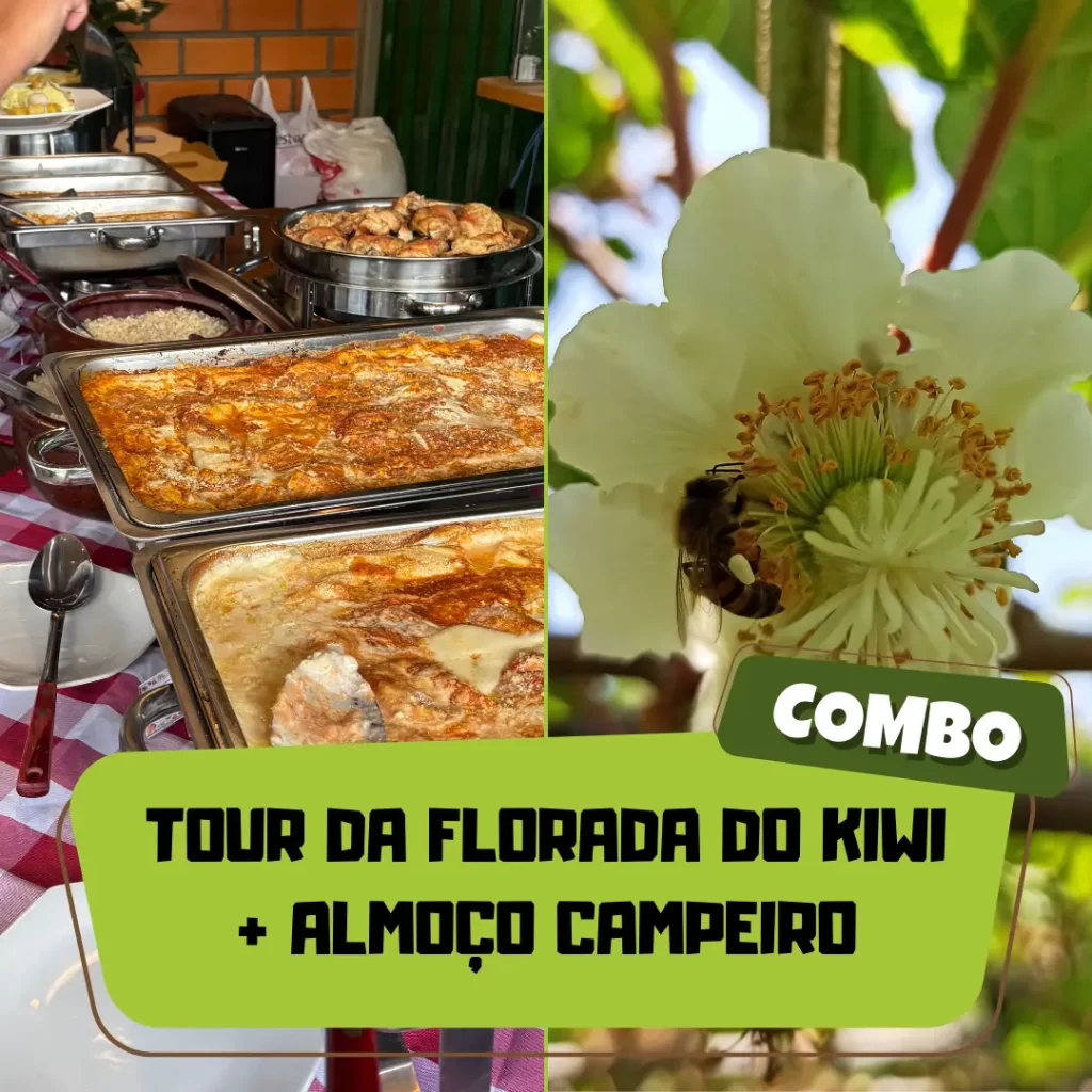 capa produto tour florada + almoço