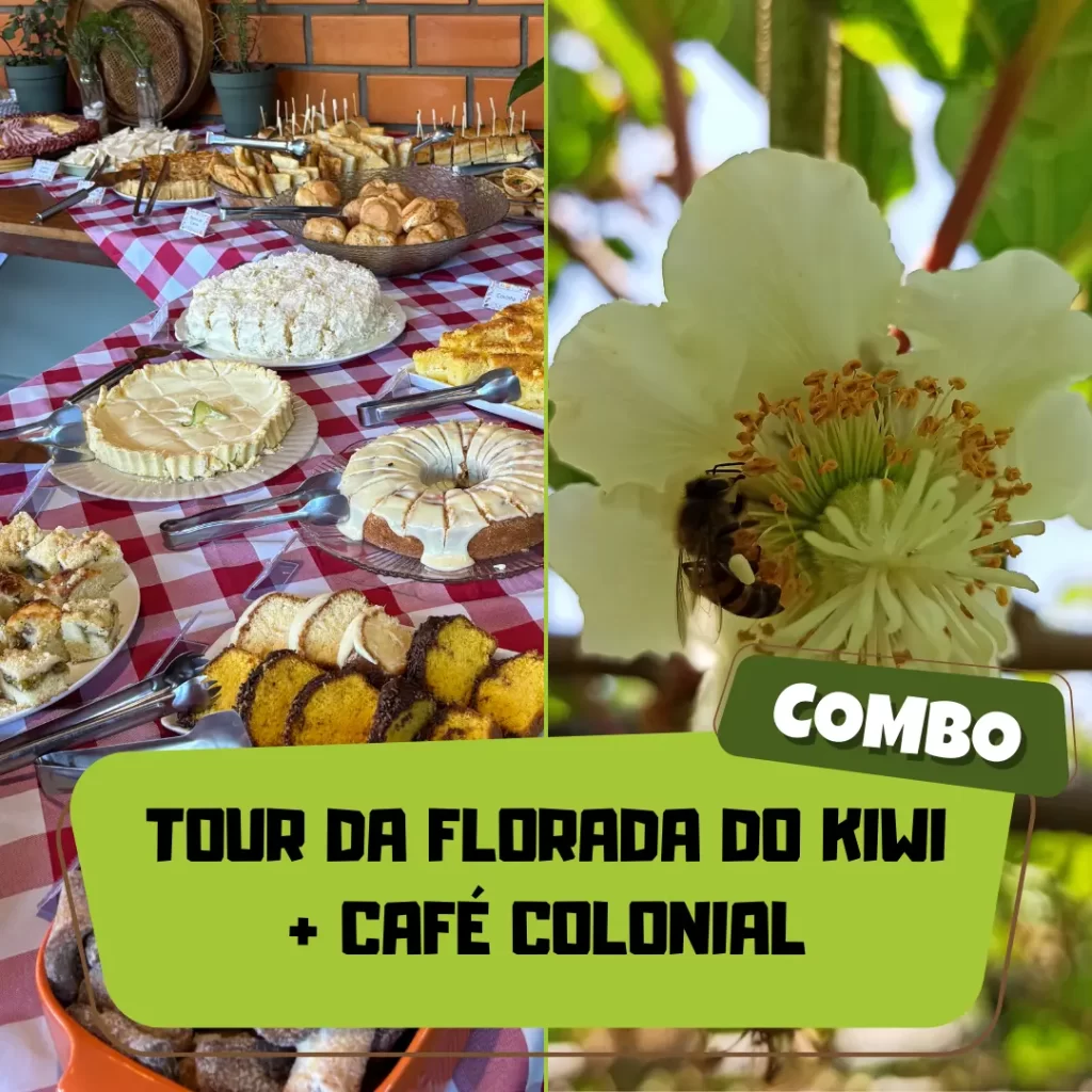 capa produto tour florada + café colonial
