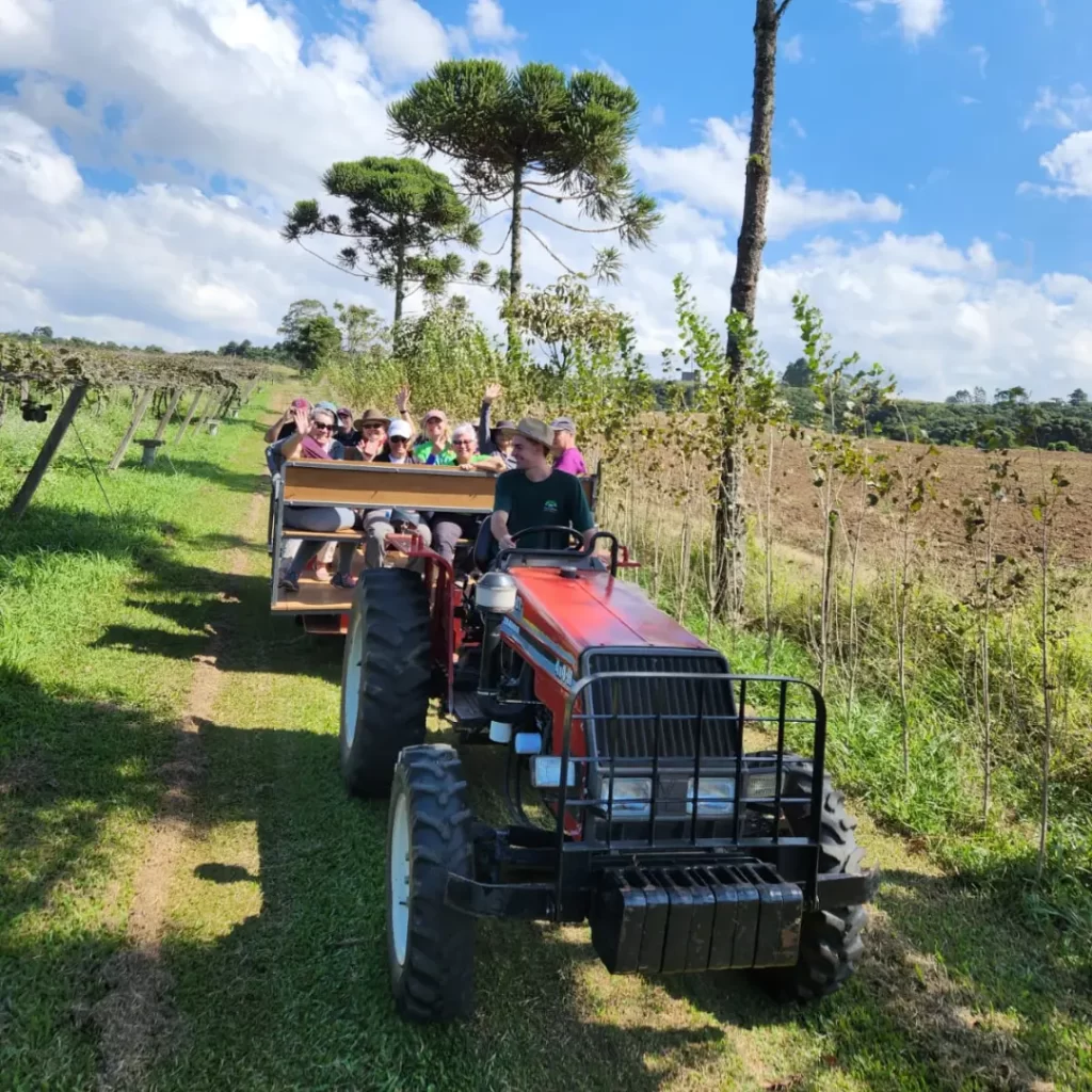 passeio de trator - pagina produto
