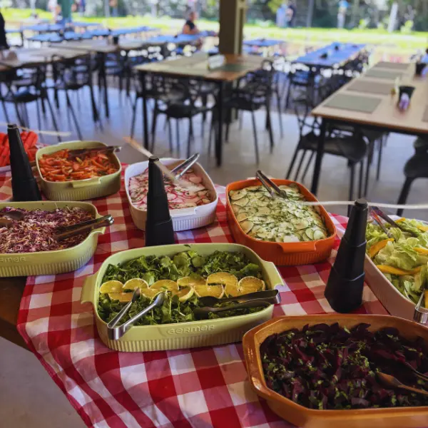 Almoço Campeiro Tour e Degustação 4