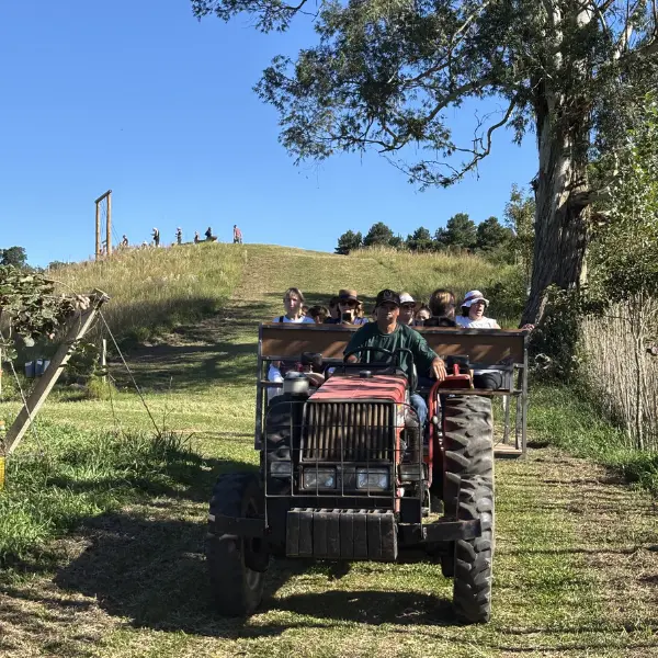 tour e degustação passeio de trator