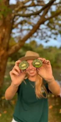 capa colheita do kiwi