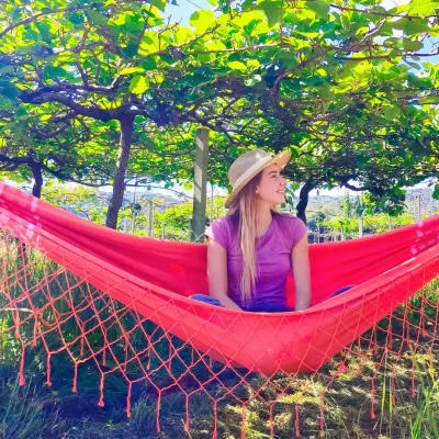 espaco para cafe colonial chacara kiwi da serra