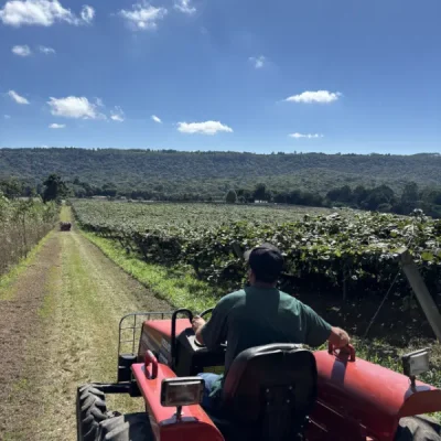 passeio de trator chácara kiwi da serra